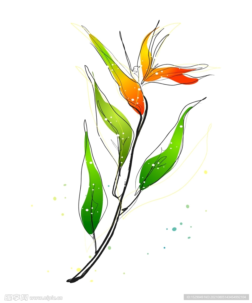 矢量手绘花朵 
