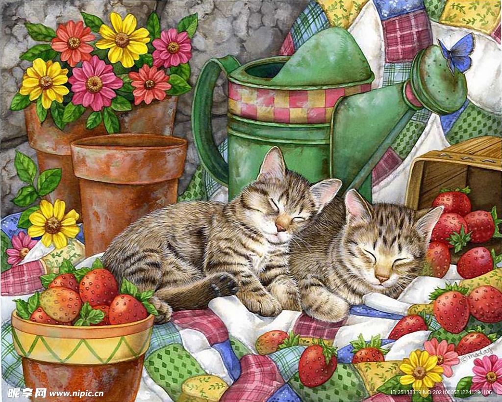 睡眠中的可爱小猫咪