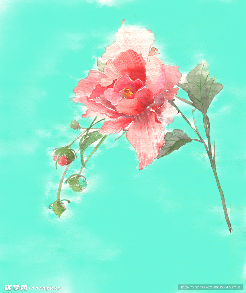 古风唯美水彩插画玫瑰花PNG素