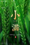 小满海报