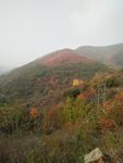 风景