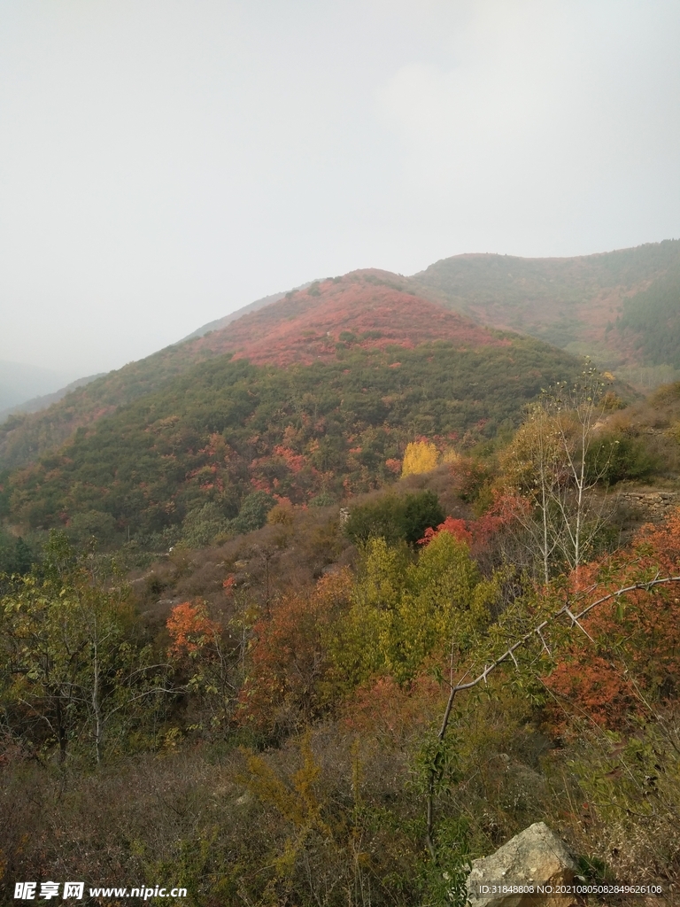 风景