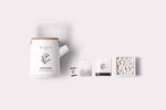 茶叶包装