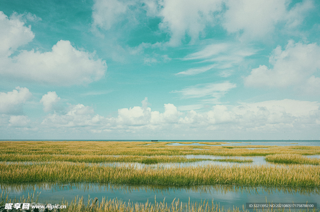 风景