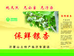 包装设计