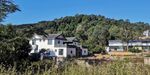 茶山 茶树