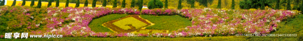 植被