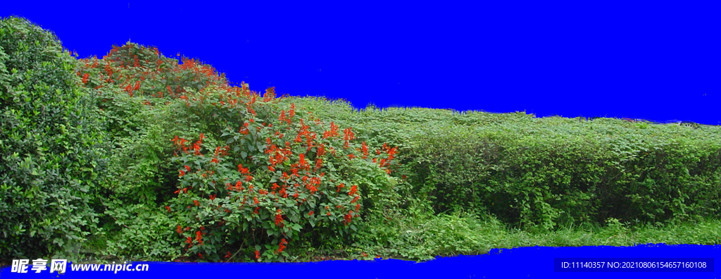 花草