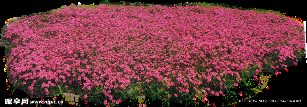 花草 
