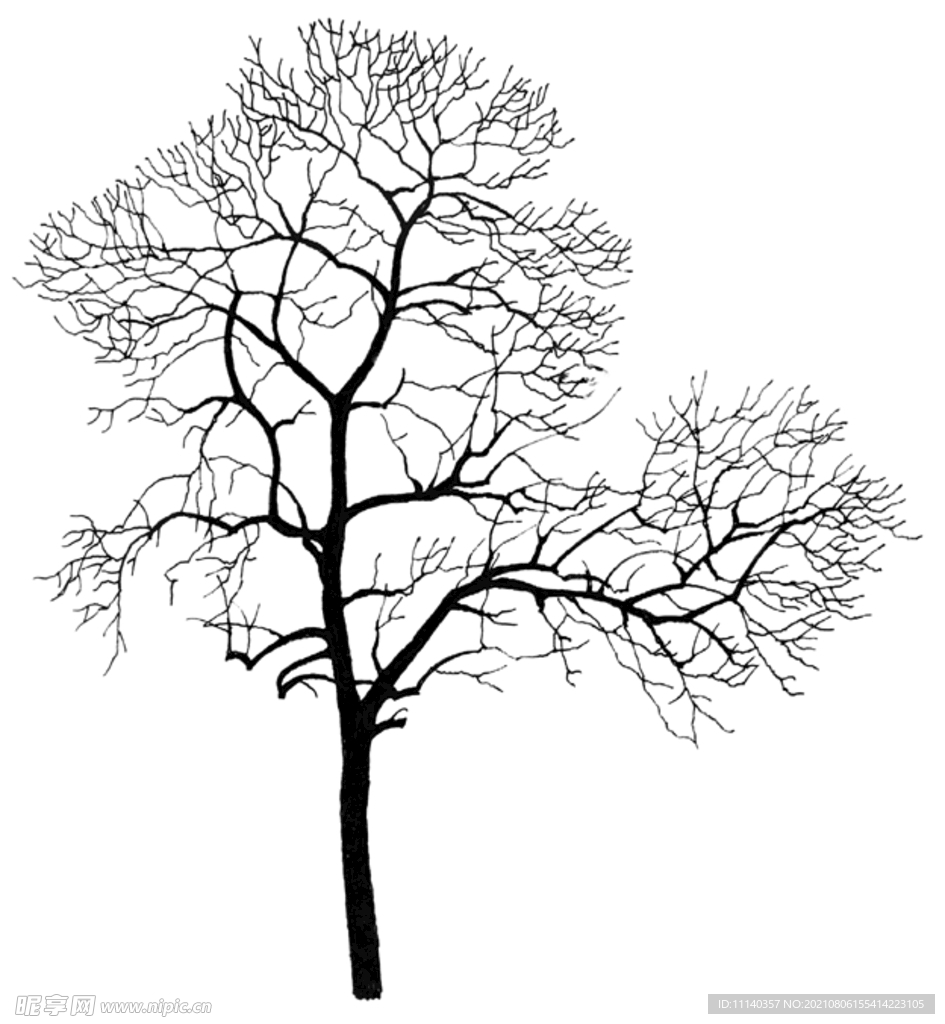 树