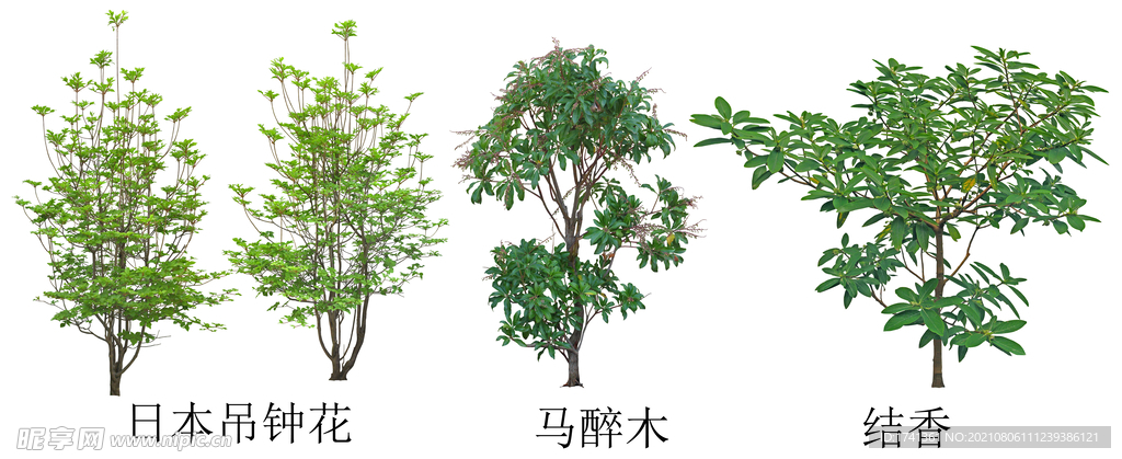 树