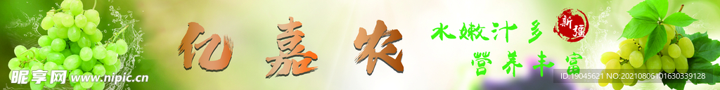 无核白葡萄