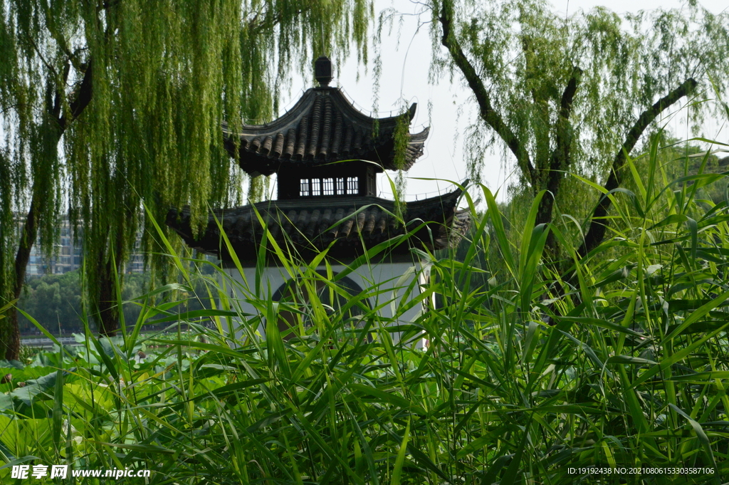 园林风景 