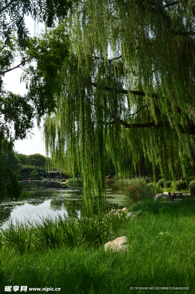 园林风景