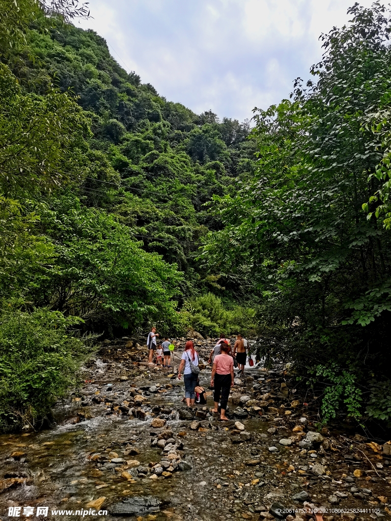 美丽的山涧溪流风景