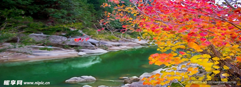 枫叶 绿水青山