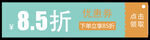 优惠券模板
