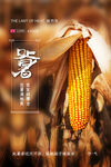 创意时尚传统节日处暑海报