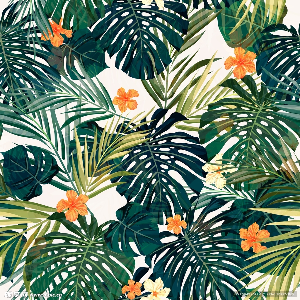 热带植物花纹