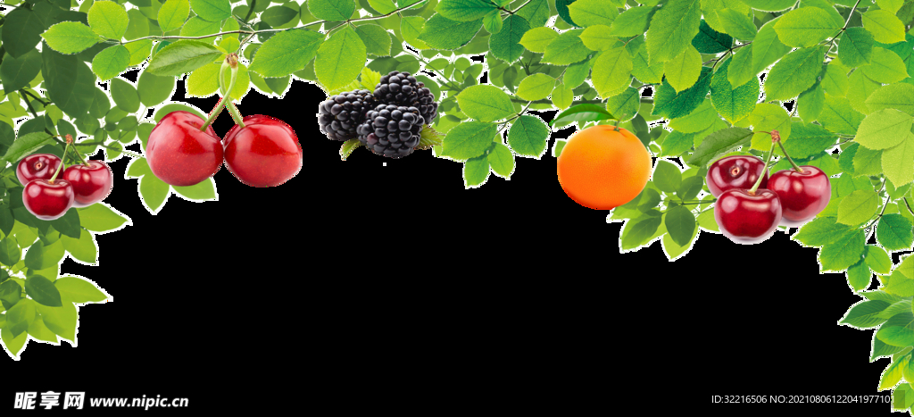 水果背景
