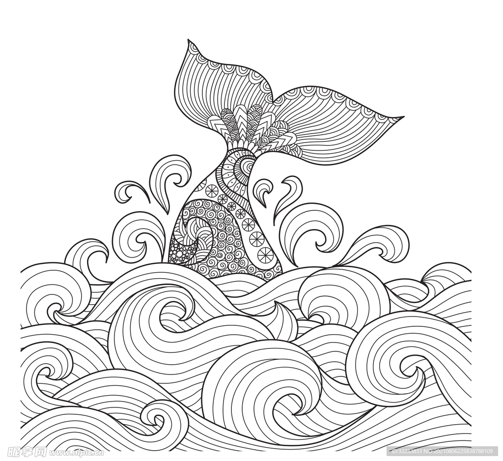 动物线描
