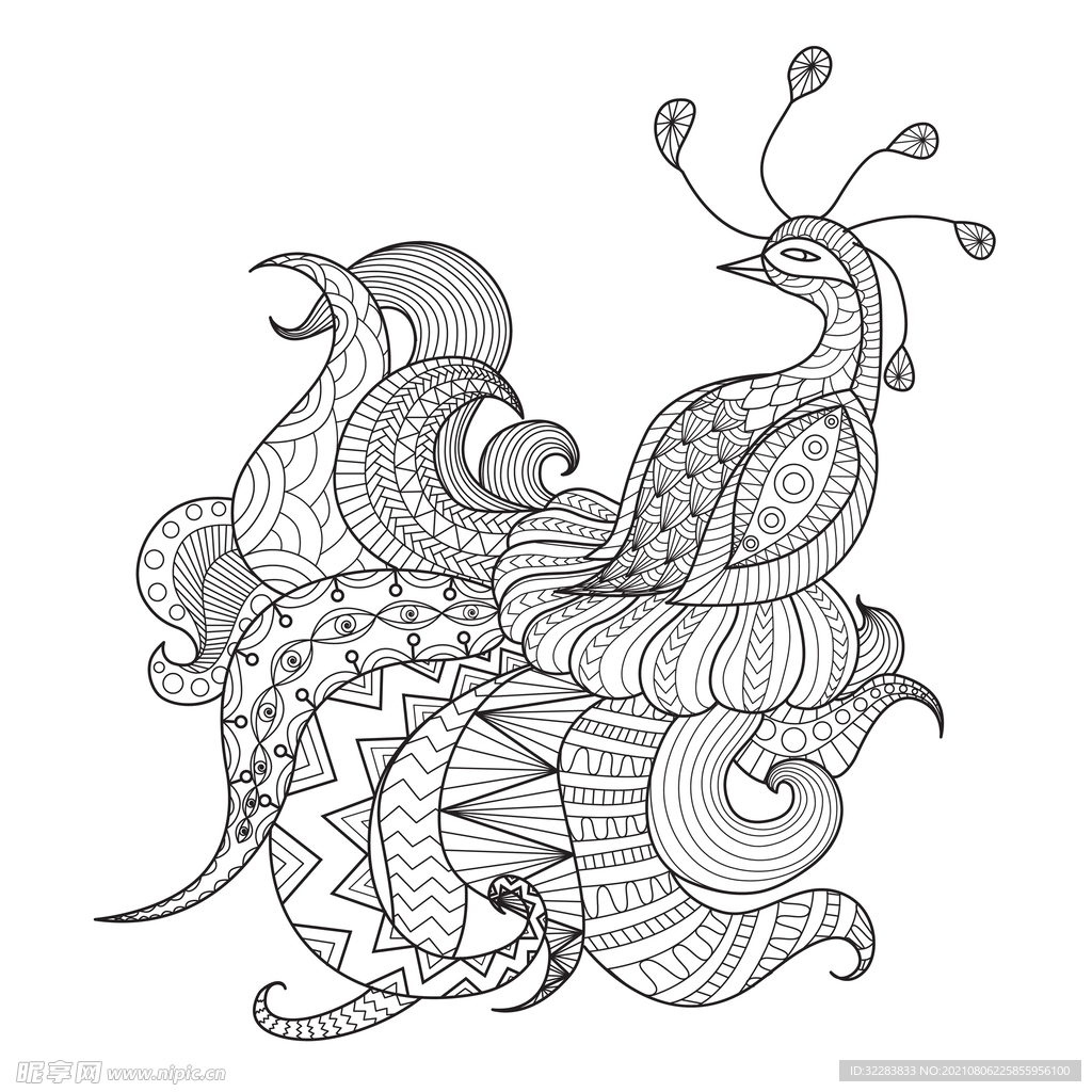 动物线描