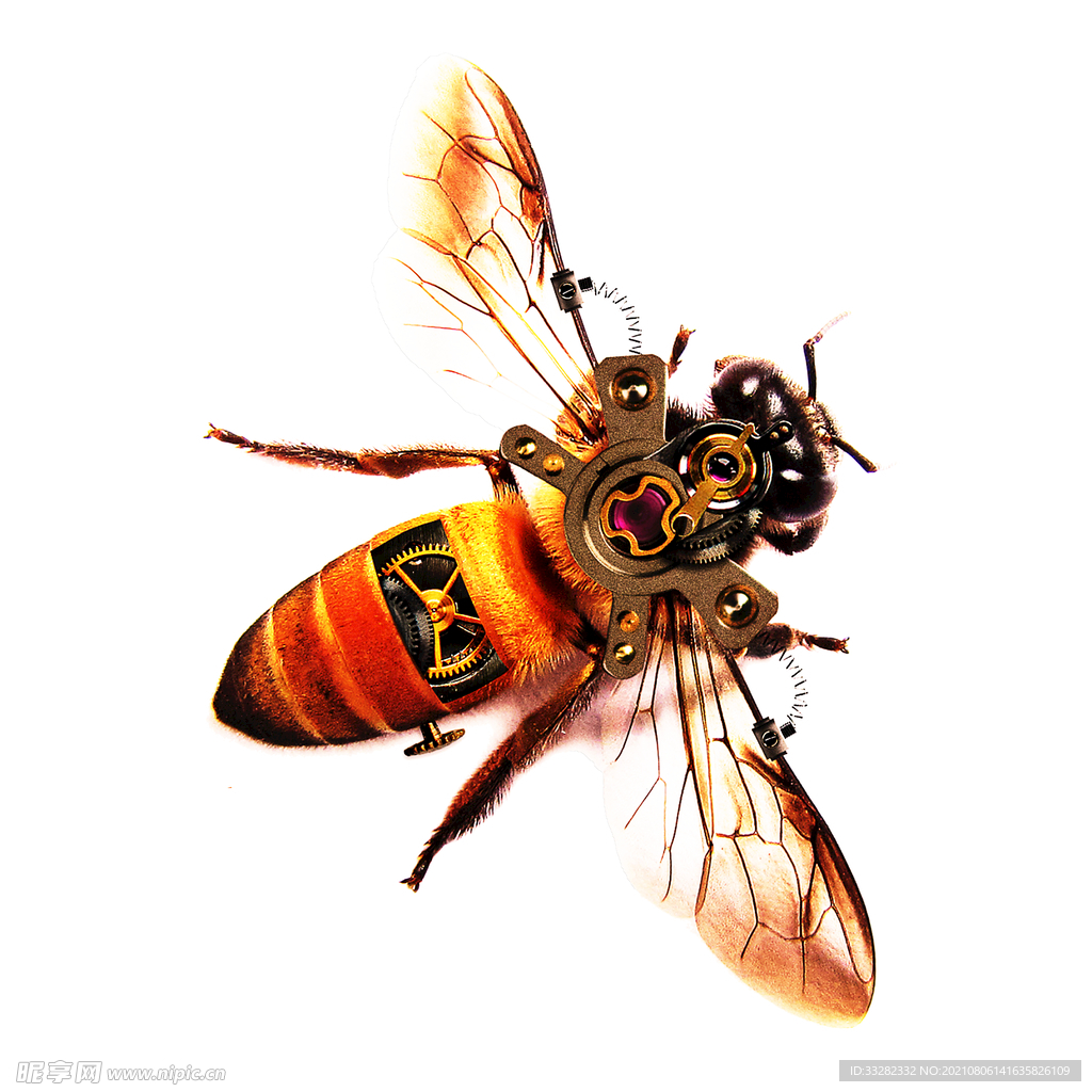 机械蜜蜂免抠图