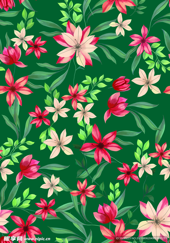 扶桑花