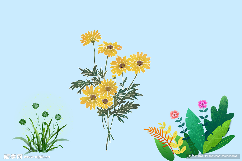花花草草