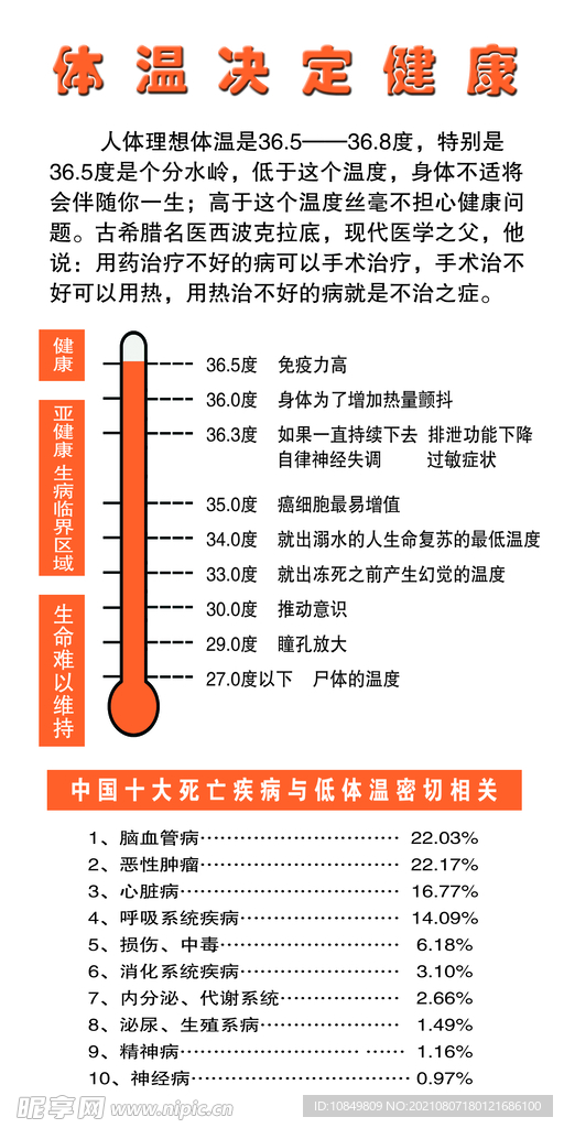 体温温度决定健康表展架