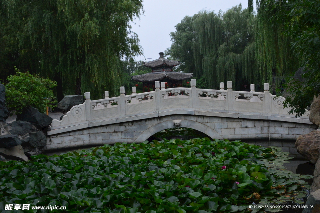 园林风景 