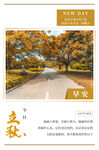 立秋海报