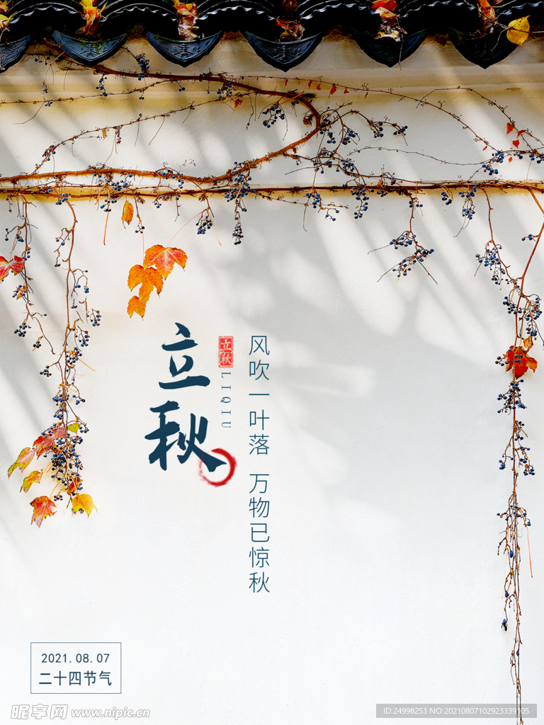 立秋海报