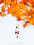 立秋海报