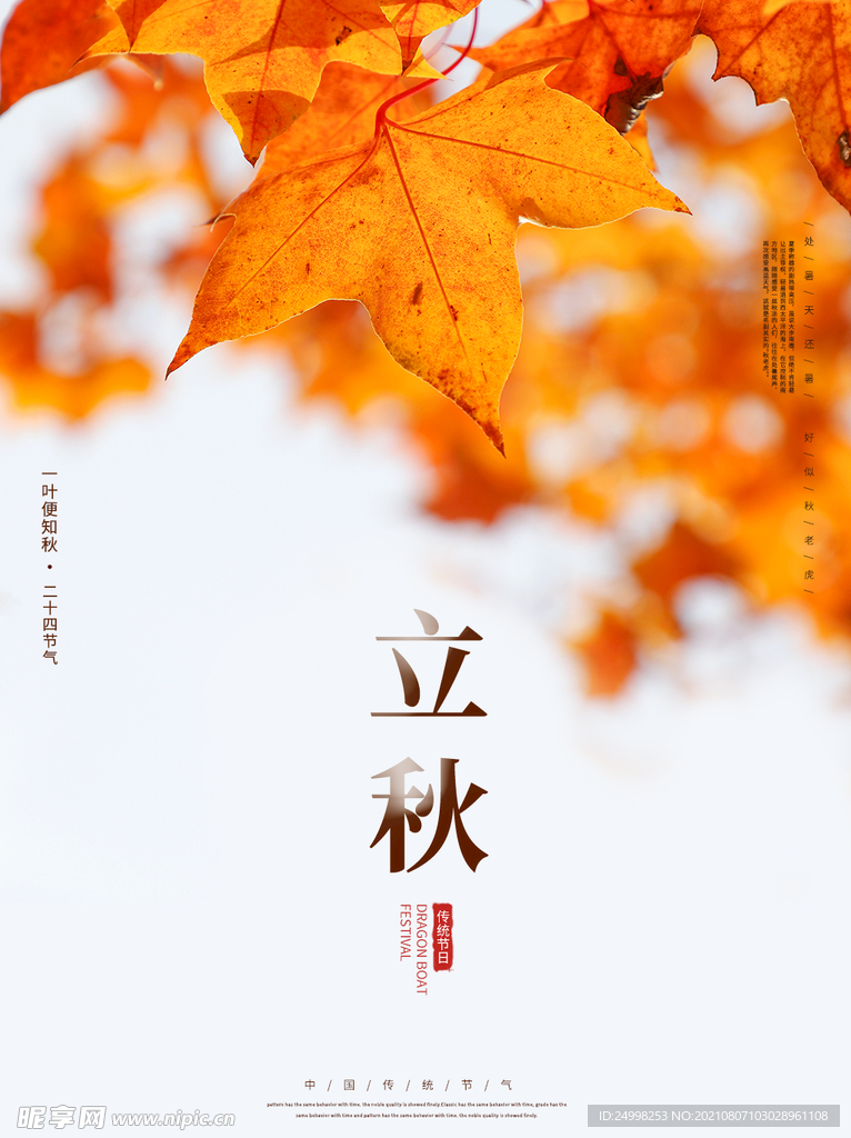 立秋海报