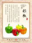 食堂文化