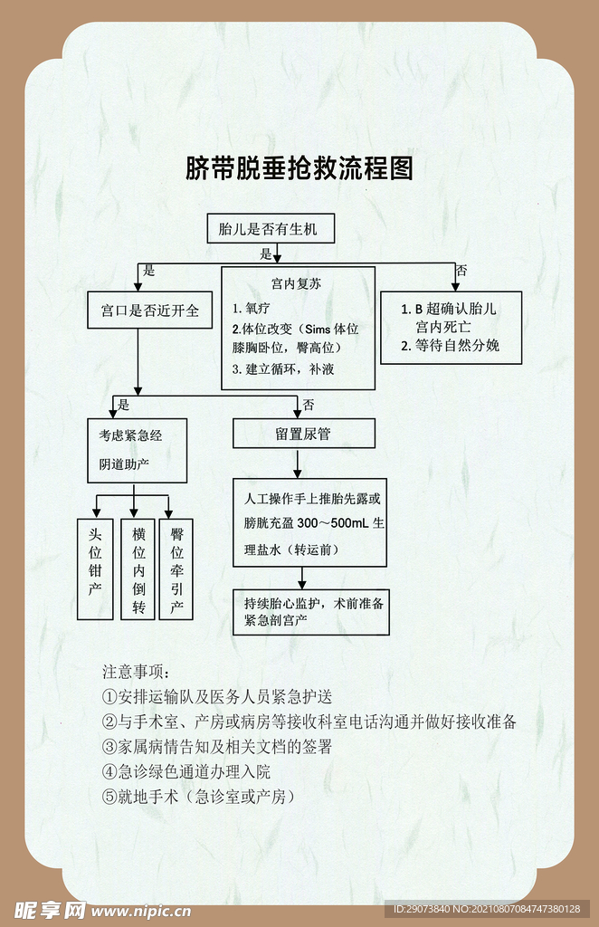 脐带脱垂抢救流程图