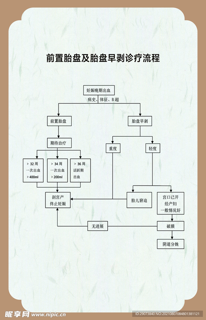 前置胎盘及胎盘早剥诊疗流 合成