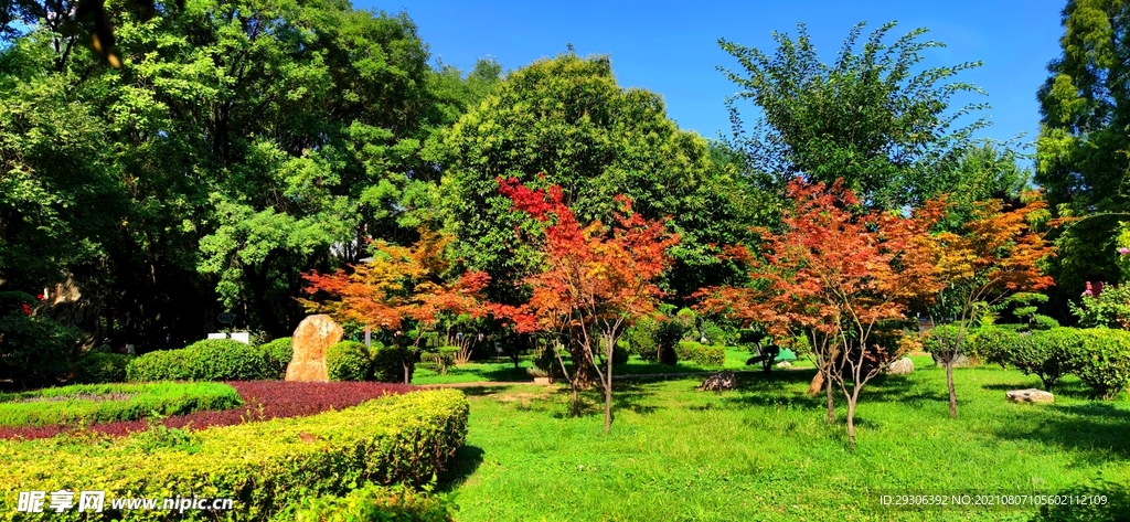 田园