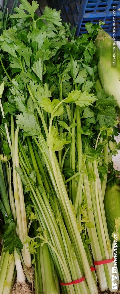 芹菜