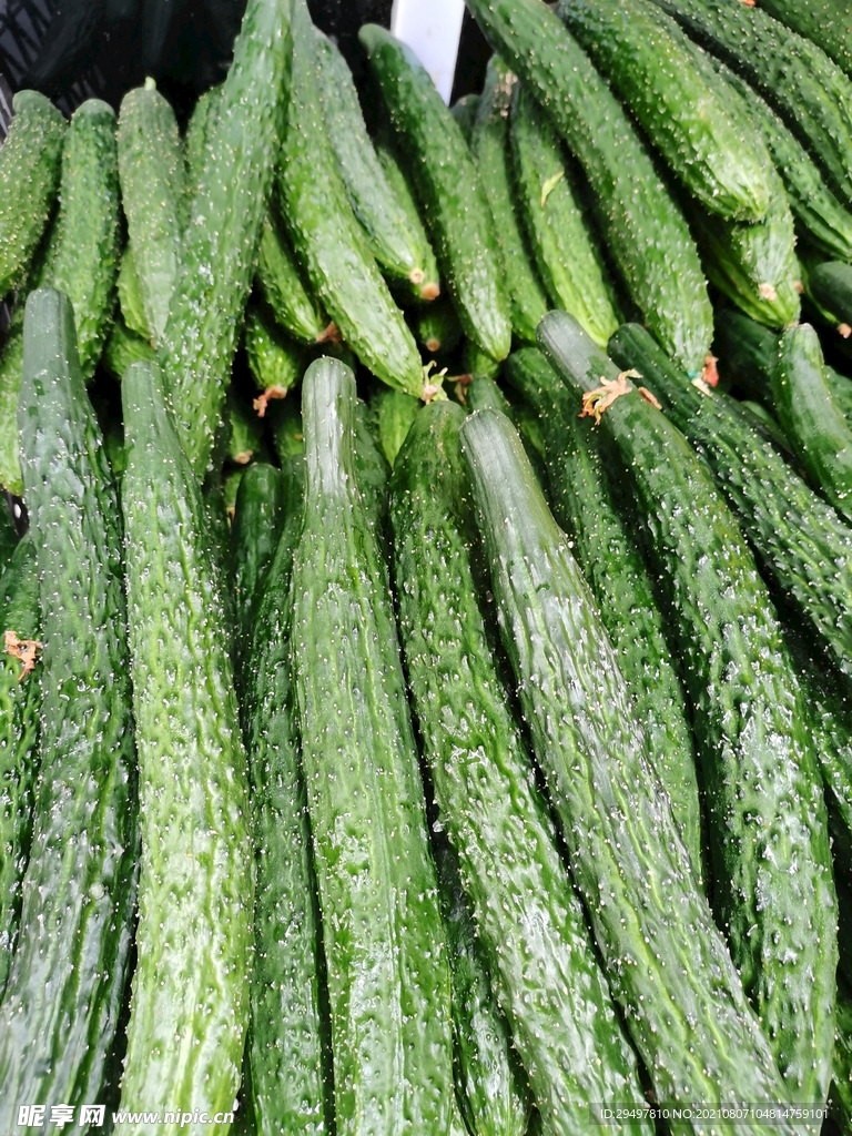 青瓜