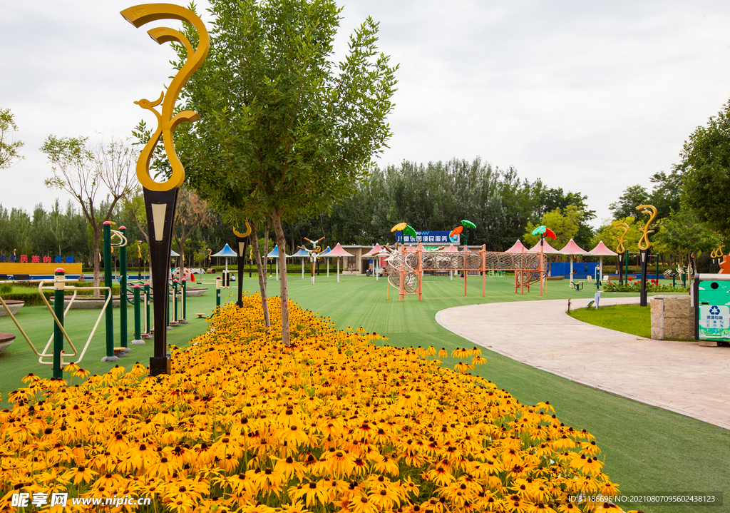 银川花博园中国花卉博览园