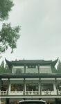 冶春