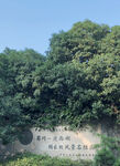 瘦西湖