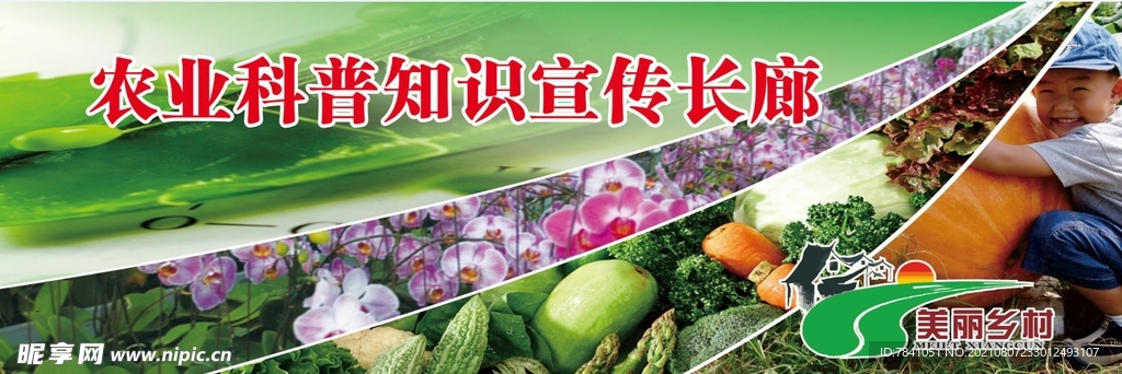 农业科普知识