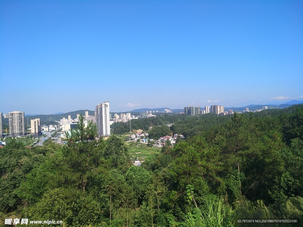 夏日晴空下的园林城市