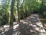 塔山公路
