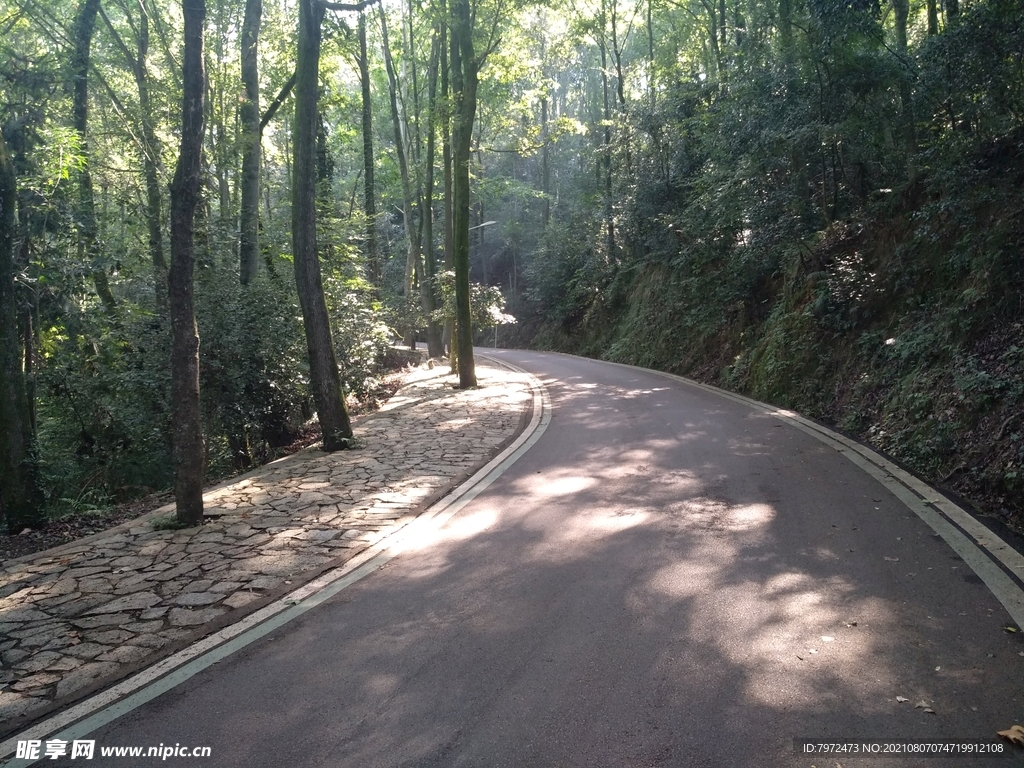 塔山公路