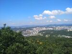 园林化县城