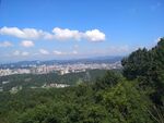 县城